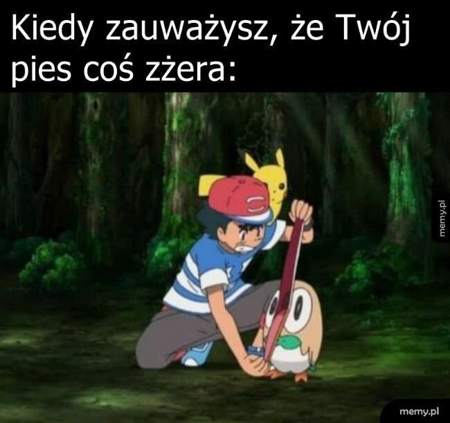 Wypluj to i to już!!!