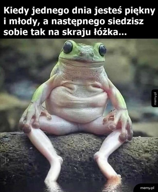 Kiedy to zleciało?