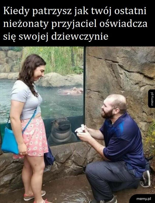 Wieczny singiel