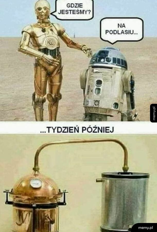 Star Wars vs Podlasie