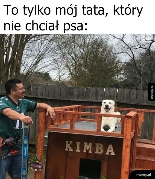 Tak to się kończy