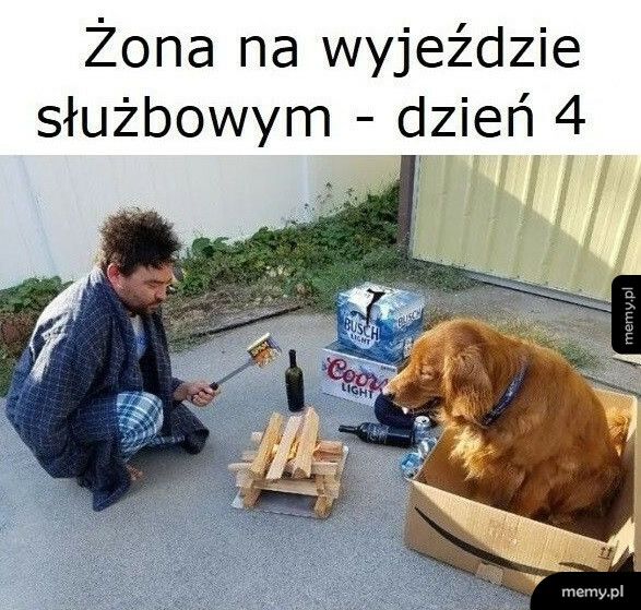 Walka o przetrwanie