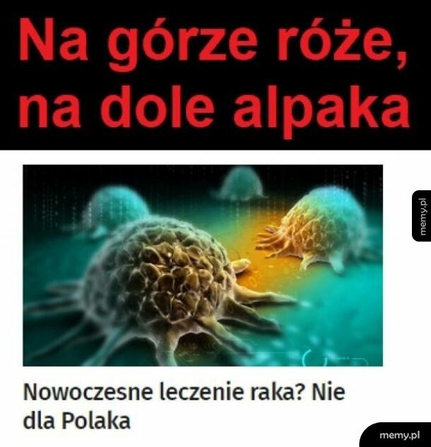 W sumie po co nam to. Lepsza dotacja TVP.