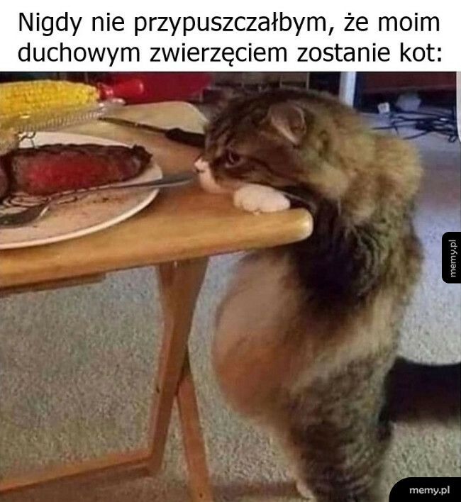 Duchowe zwierzę