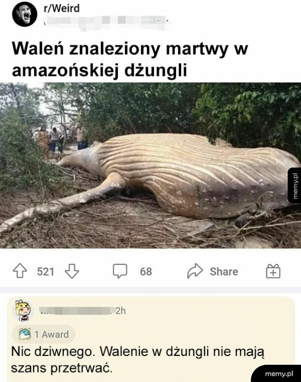 Martwy waleń