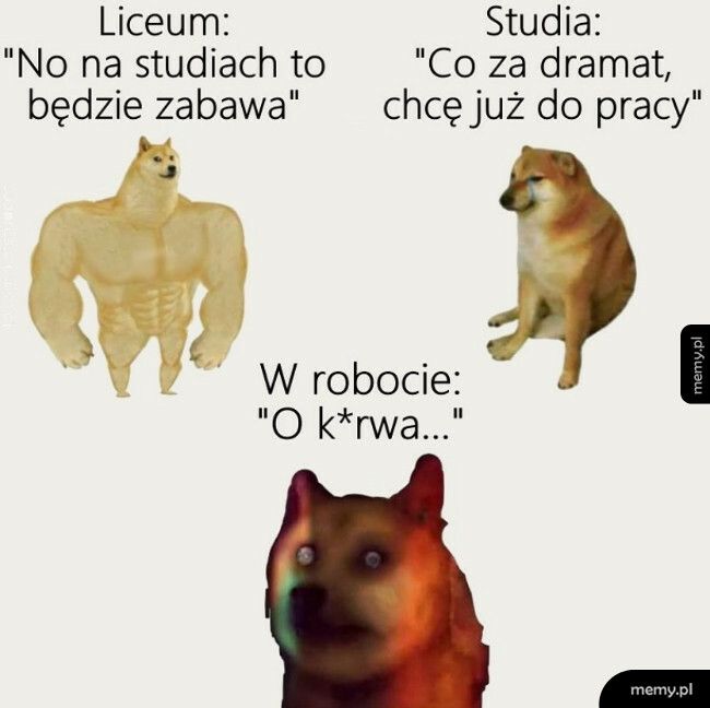 Różne etapy życia