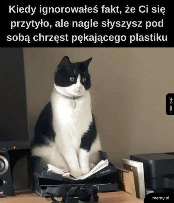 Już nie da się ignorować