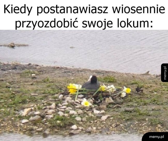 Wiosna we wnętrzach