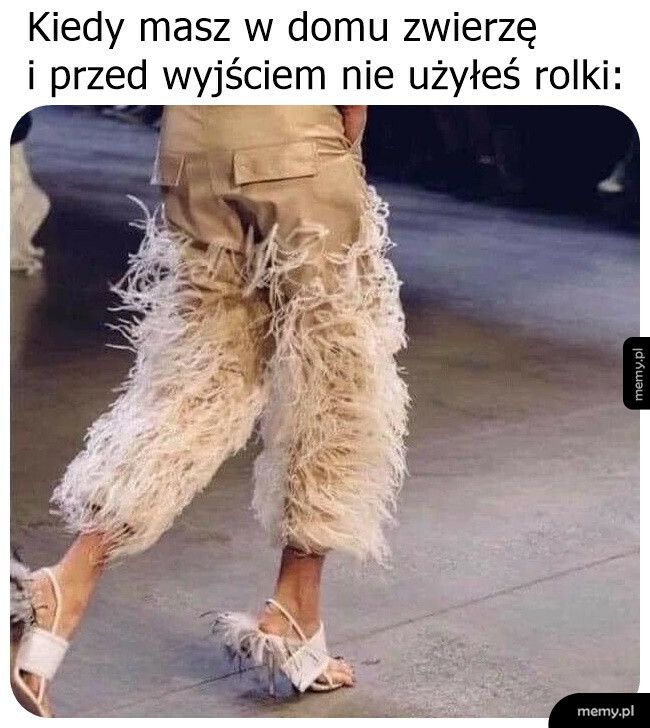 Must have właściciela zwierząt