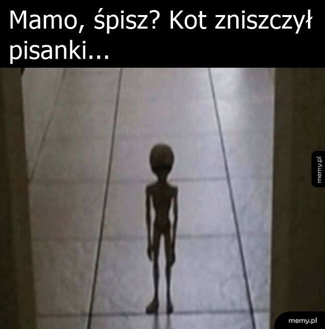 Już się dobrał