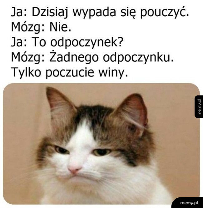 Typowa niedziela