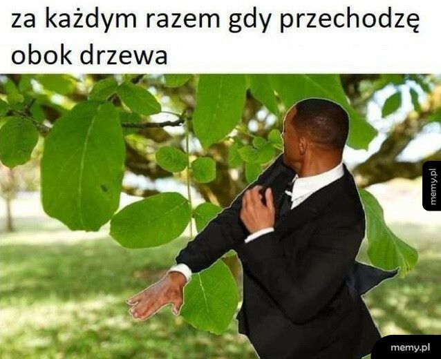 Z liścia