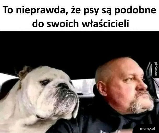 Właściciele i ich psy