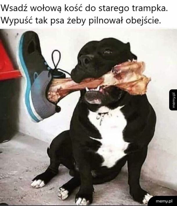 Najlepiej przed kolędą