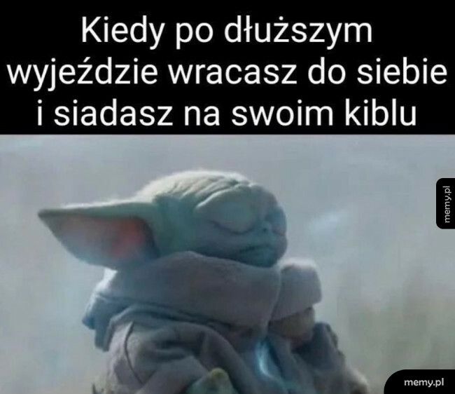 Jak dobrze wrócić do domu