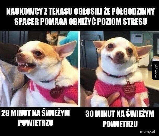 Spacer na świeżym powietrzu