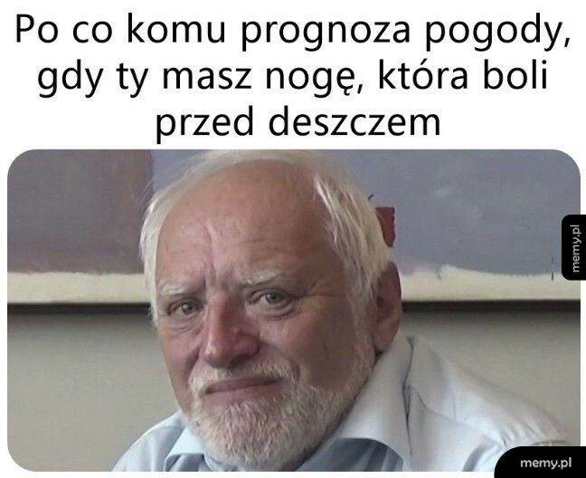 Najlepsza prognoza