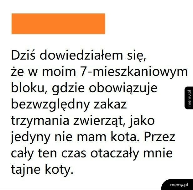 Blok bez zwierząt