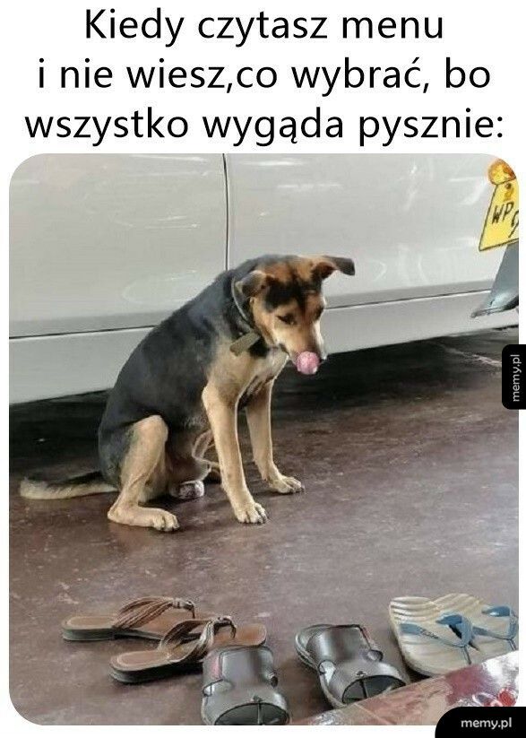 Ciężko się zdecydować