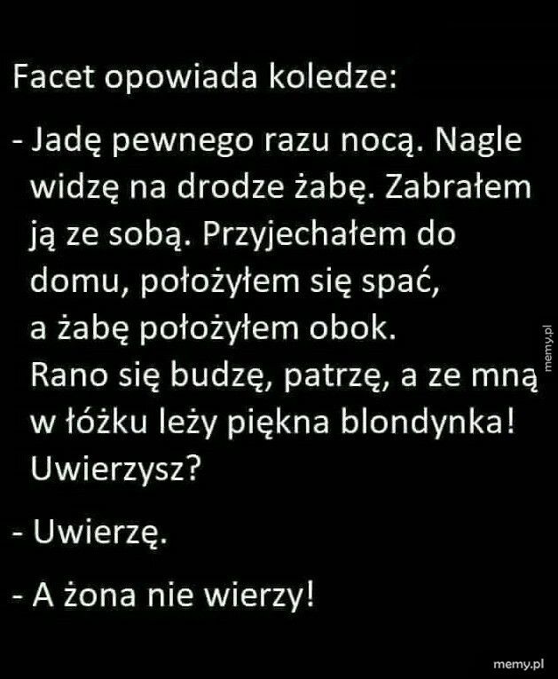 Żaba na drodze