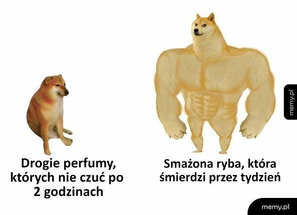 Zapach smażonej ryby