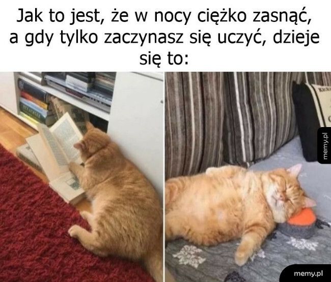 Najlepszy środek nasenny