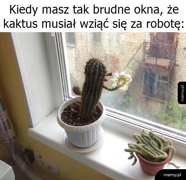 Brudne okna