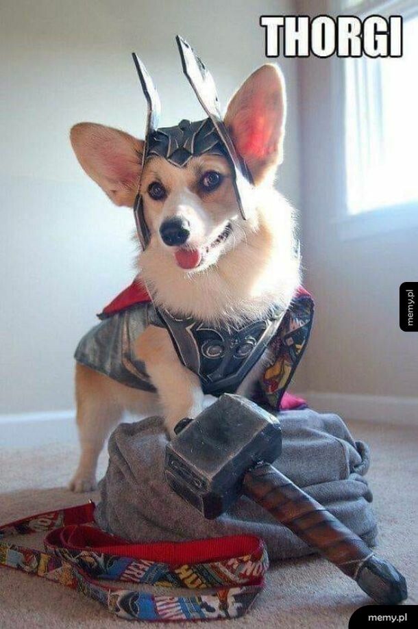 Thorgi