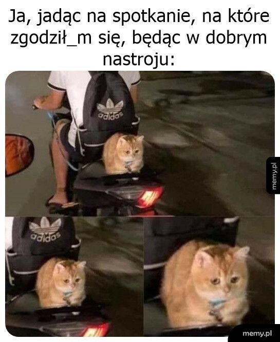 Za późno, żeby odwołać