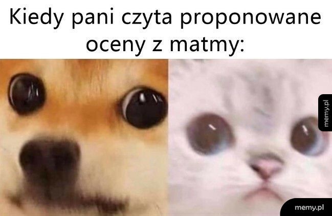 Oceny z matmy