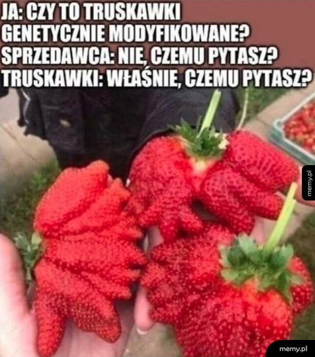 Truskawki