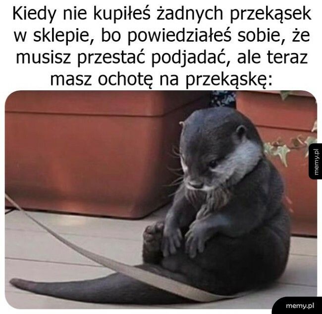 Przekąska