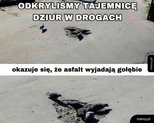 Tajemnica dziur w drogach