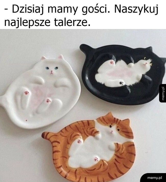 Najlepsze talerze