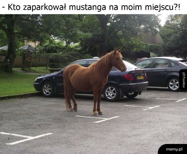 Zajęte miejsce