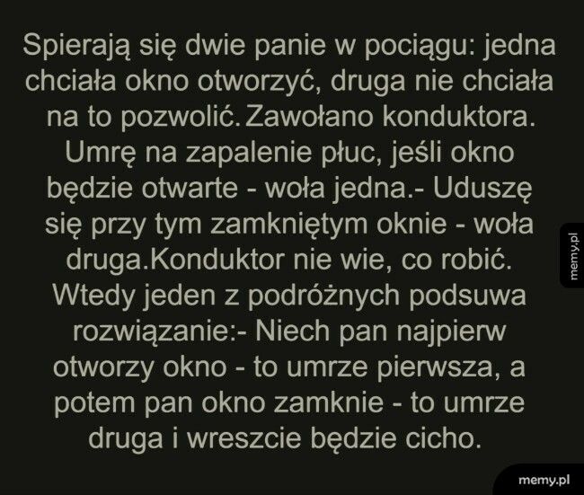 Dwie panie w pociągu