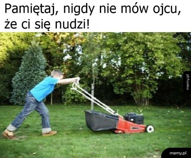 No i znalazł zajęcie