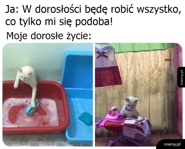 Życie zweryfikowało