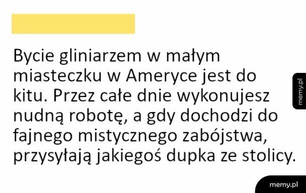 Do kitu z taką robotą