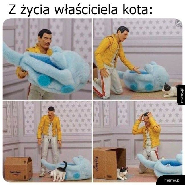 Tylko pudełka i pudełka