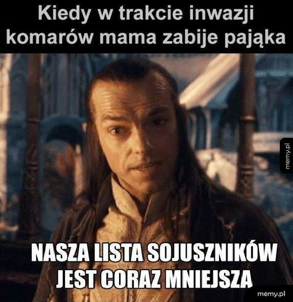 Pożyteczny gość