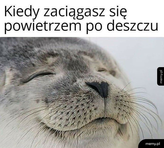 Powietrze po deszczu