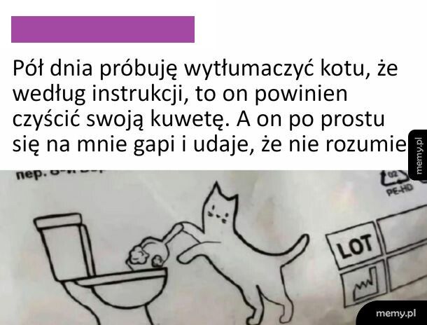 Czyszczenie kuwety