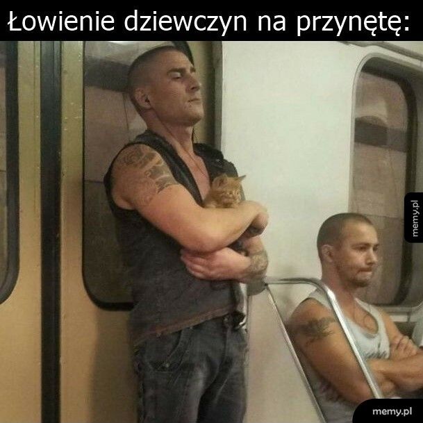 Przynęta