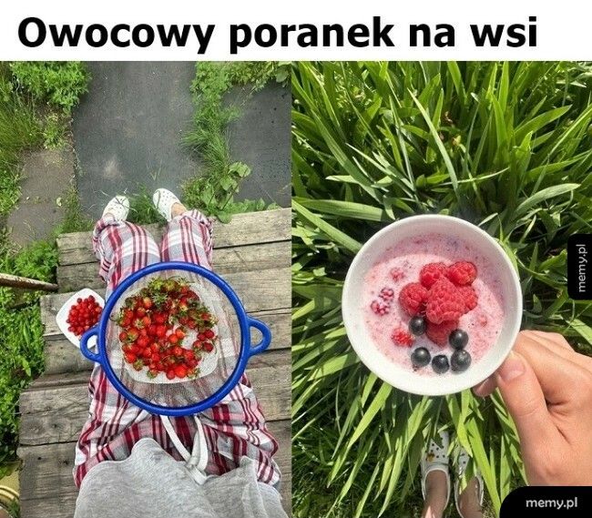 Owocowy poranek