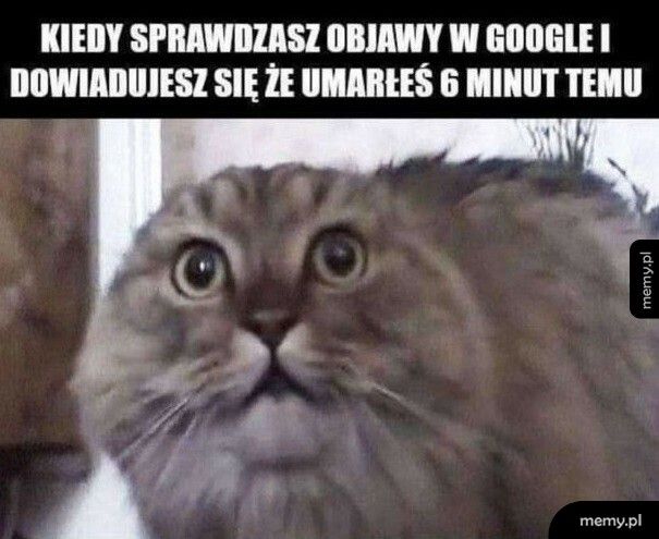 Lekarz Google