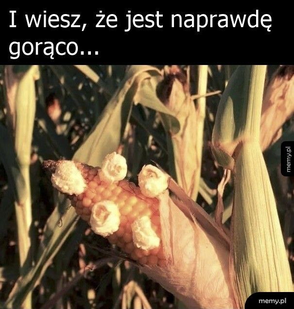 Upał