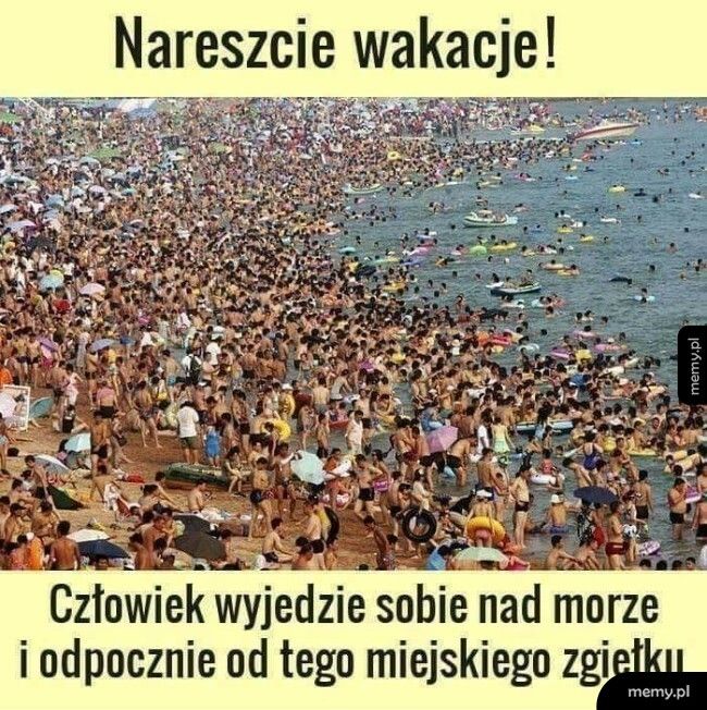 Wakacje