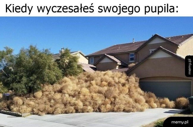 Nazbierało się trochę kłaczków