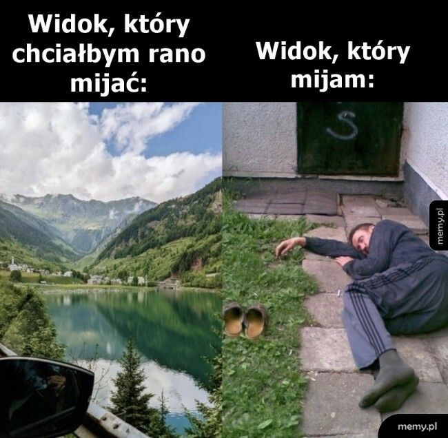 Widok